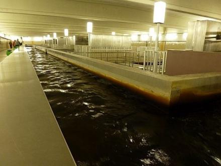 wasserwerk3